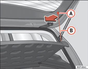 Fig. 105 Luggage