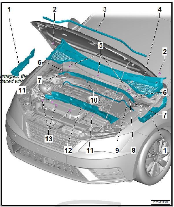 Body - front